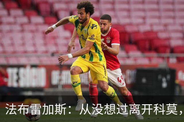 法布雷加斯：从没想过离开科莫，一想这事可能就到头了
