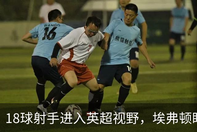 18球射手进入英超视野，埃弗顿盯上26岁前锋